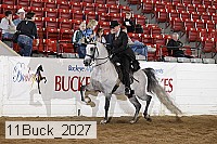 11buck_2027 proof