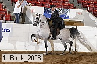 11buck_2028 proof