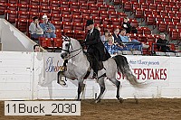 11buck_2030 proof