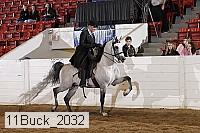 11buck_2032 proof