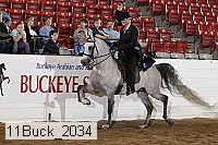 11buck_2034 proof