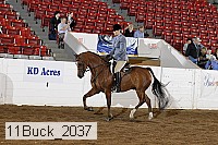 11buck_2037 proof
