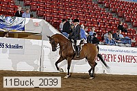 11buck_2039 proof