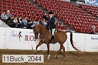 11buck_2044 proof