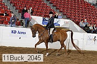 11buck_2045 proof