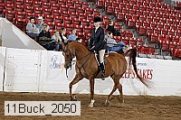 11buck_2050 proof