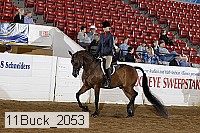 11buck_2053 proof