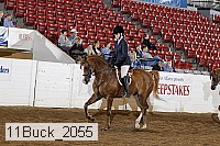 11buck_2055 proof