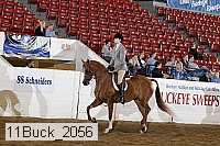 11buck_2056 proof