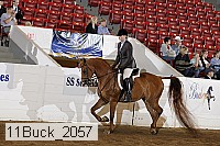11buck_2057 proof
