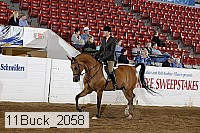 11buck_2058 proof