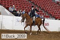 11buck_2059 proof