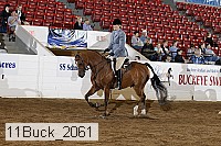 11buck_2061 proof