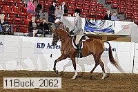 11buck_2062 proof