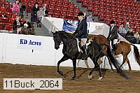 11buck_2064 proof