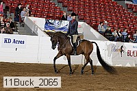 11buck_2065 proof