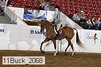 11buck_2068 proof