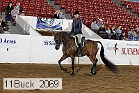 11buck_2069 proof