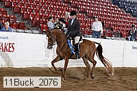 11buck_2076 proof
