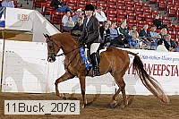 11buck_2078 proof