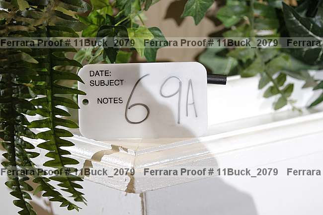 Proof 11buck_2079
