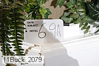 11buck_2079 proof