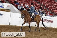 11buck_2081 proof