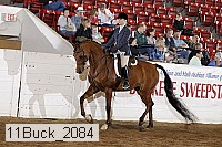 11buck_2084 proof