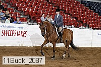 11buck_2087 proof