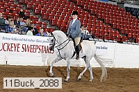 11buck_2088 proof
