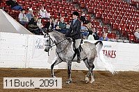 11buck_2091 proof