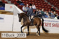 11buck_2093 proof