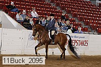 11buck_2095 proof