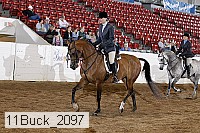 11buck_2097 proof