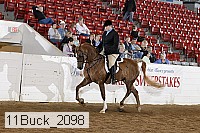11buck_2098 proof