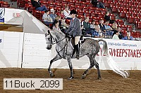 11buck_2099 proof