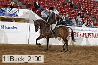 11buck_2100 proof