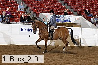 11buck_2101 proof