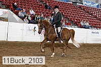 11buck_2103 proof