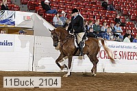 11buck_2104 proof