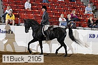 11buck_2105 proof