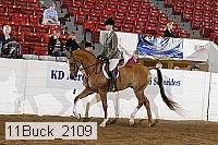 11buck_2109 proof