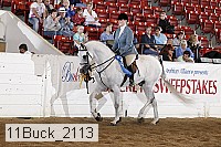 11buck_2113 proof