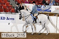 11buck_2115 proof