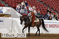 11buck_2123 proof