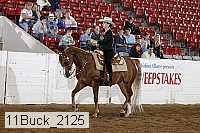 11buck_2125 proof