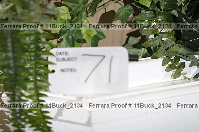 Proof 11buck_2134