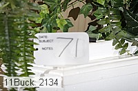 11buck_2134 proof