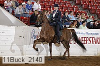11buck_2140 proof