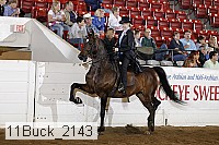 11buck_2143 proof